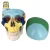 Import Wholesale Colorful Dental Anatomical Human Skull Model from China