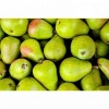 Wholesale Fresh Pear / Pear Fruit Price / Fresh Pear Fruit In India