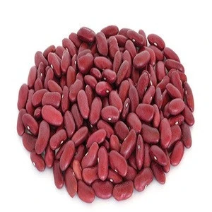Wholesale natural red kidney beans