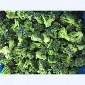 Wholesale organic IQF frozen fresh broccoli vegetable