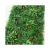Import Wholesale Outdoor Green Plant Artificial Green Wall from China