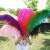 Import wholesale south africa large ostrich feathers 50cm for wedding party decoration from China