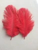wholesale white large ostrich feather