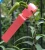 Import Wrap Around Plant Tag Garden Adjustable Plastic Plant Labels Tag from China