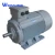 Import YBS series  3 phase  asynchronous  electric motor from China