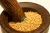 Import Yellow Mustard Seeds/Yellow Rapeseeds/Canola Seeds from Bangladesh