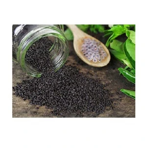 Best Quality Basil Seeds For Planting