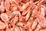 Frozen Seafood Color Sorter