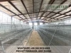 China Good Quality Chicken Battery Cage System Manufacturers & Supplier