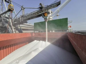 Export quality Urea