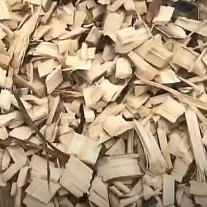 Woody biomass
