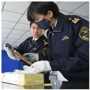 China customs clearing agent