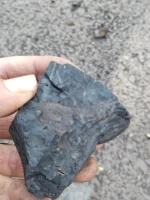 indonesia coal
