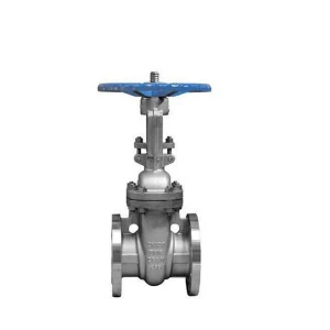 DIN PN 16 stainless steel flanged gate valve