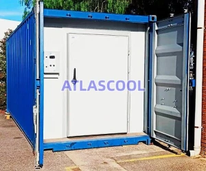 40 ft cold room container