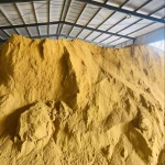 fish meal 50% off today