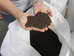 Hot Selling Price Of Black Pepper Whole Organic Dried Black Peppers Spice in Bulk Stock For Delivery