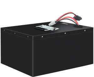 Tricycle Battery