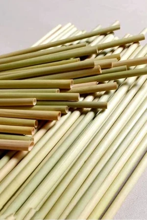 Eco grass straws