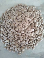 Almond inshell