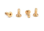 Copper Screws