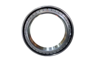 Full Complement Cylindrical Roller Bearings 2023