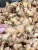 Import High Quality Fresh Ginger from Indonesia