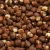 Import Premium Dried Hazelnuts Rich In Natural Taste Hazelnuts Perfect Choice For Baking Snacks from South Africa