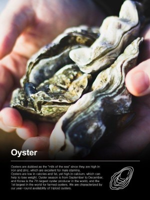 Frozen Oyster (With shell / Half shell / Meat)