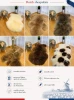 Dutch Decorative Sheepskins, Premium