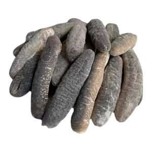 Selected Dried Sea Cucumber Prepared Through Advanced Drying Methods For Long Distance Seafood Supply