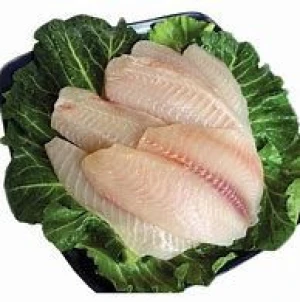 Tilapia