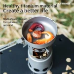 Pure titanium wood stove