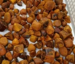 Ox Gallstones Cattle Gallstones Cow Gallstones Wholesale