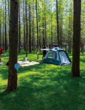 Waterproof 2-4 Person Portable Outdoor Camping Tent Family Hiking Beach Tent