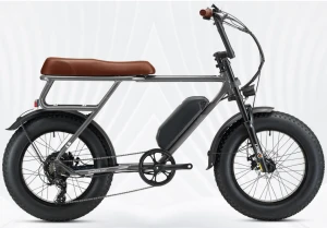 L4 electric bicycle
