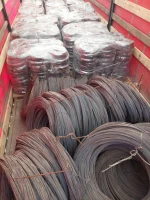 Iron and steel soft wires