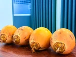 Fresh King Coconut Natural Hydrating Tropical Fruit