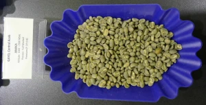 Indonesian Coffee Beans (Gayo Arabica)
