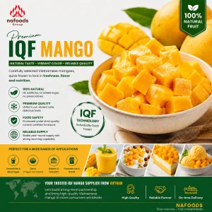 Premium IQF Mango from Vietnam – Naturally Delicious & Reliable Quality