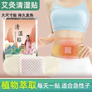 Moxibustion Cleansing Patch