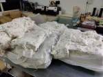 Cotton