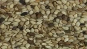 Sesame Seeds (Natural and Hulled)