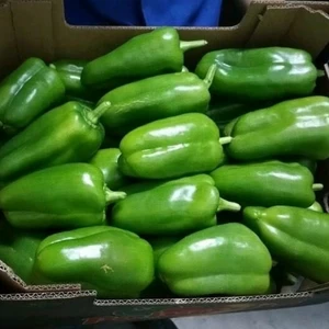 Fresh Peppers from Ecuador