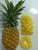 Import Frozen Pineapple High quality Best price from Vietnam from Vietnam