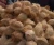 Import Semi Husk Coconut from United Arab Emirates
