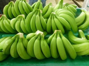 Fresh Green Bananas