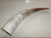 POLISHED COW HORN
