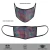 Import Set of 2 - Horse Cart Reusable Printed Face Mask from India