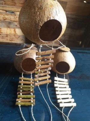 Coconut Shells Craft